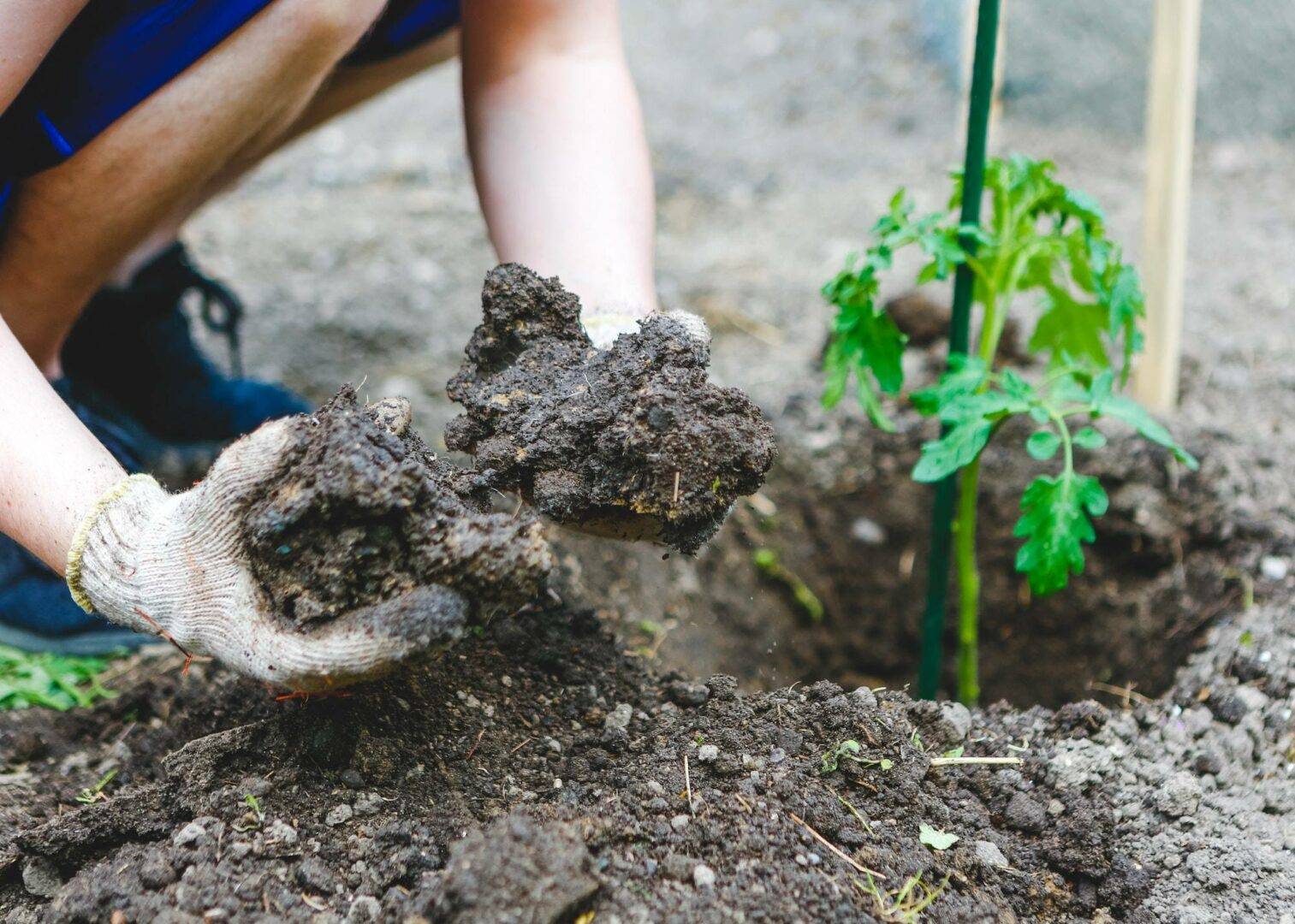 Clay in Soil