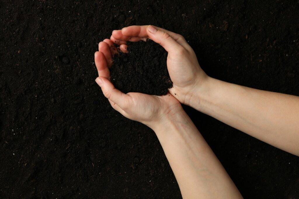 living soil