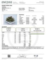 Gorilla Cookies Auto - Fast Buds - 3 Stück – Bild 2