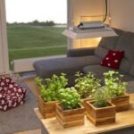 PFLANZENLAMPE FLORIS - Hochwertiges LED-Pflanzenlicht, Vollspektrum für Grün-/Blüh- und Nutzpflanzen - bis 3m² – Bild 4