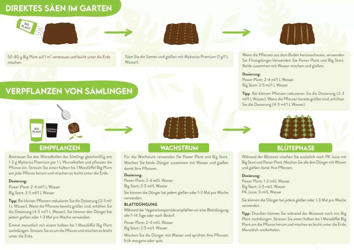 Organisches Silizium Pulver SiStar - Organics Nutrients – Bild 4