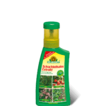 Schachtelhalm Extrakt