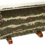 Wurm / Wurzelhaus 3 Stück