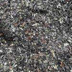 Waldboden Mulchmaterial - Mikroorganismen - zersetzt, geruchsfrei, staubarm