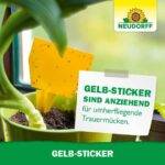 Neudorff-Gelb-Sticker-–-Biologische-Insektenfalle-fuer-Zimmerpflanzen-und-Gewaechshaus