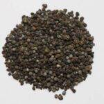 Seminafert-Granulat – Organischer Pflanzendünger für gesunde Wurzeln, vitale Pflanzen und starke Jungpflanzen