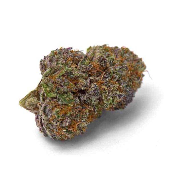 Growers Choice – Purple Dosi Punch – Feminisiert – 3+1 Stück