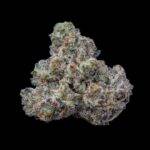 Cookies Seeds - Bogota - Feminisiert -  3 Stück