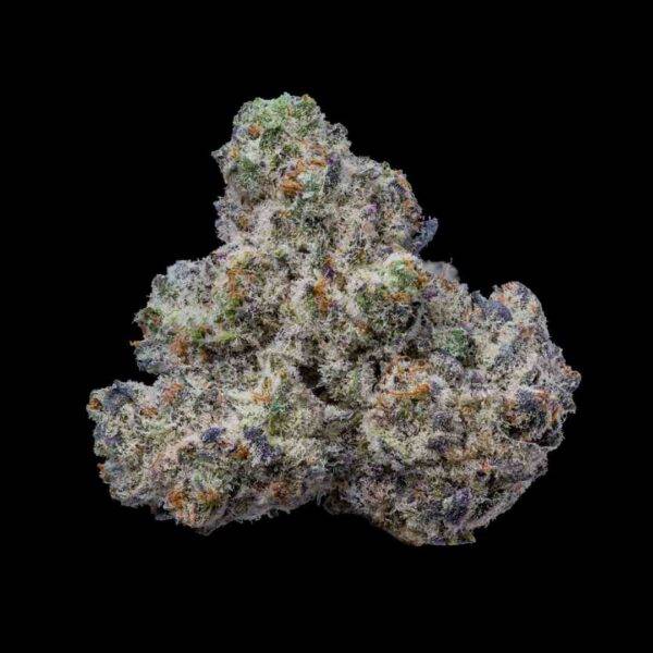 Cookies Seeds - Bogota - Feminisiert -  3 Stück